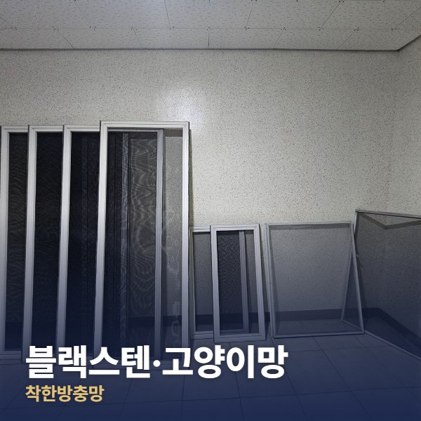 종로구 블랙스텐·고양이망